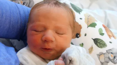 Teodor
